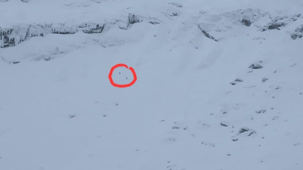 Avalanșă masivă în Făgăraș, lângă Bâlea Lac! Doi schiori au provocat-o din greșeală