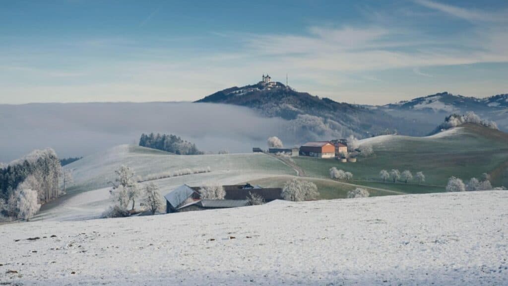 Noaptea cea mai rece a iernii: „Polul frigului” s-a stabilit în Banat. Timișoara înregistrează -17°C