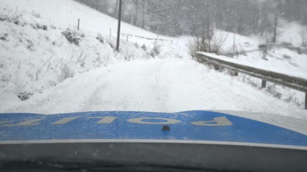 Ninsori devastatoare în România: copaci doborâți și TIR-uri blocate pe drumuri în diverse județe