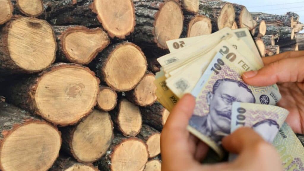 Iarna grea a sărăciei rurale. Vârstnicii îndură frigul din cauza prețurilor exorbitante la lemne