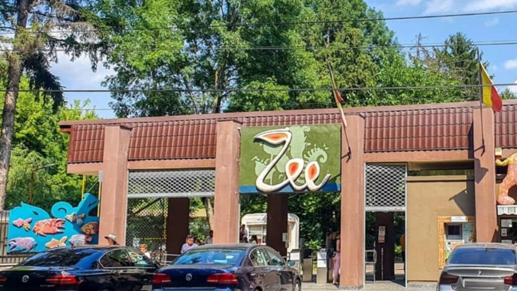 Biletele la Zoo Băneasa și la diverse teatre și muzee din București au devenit mai costisitoare