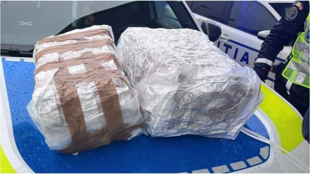 Captură impresionantă în Vrancea: Poliția dezvăluie o rețea de trafic de droguri, confiscând 15 kilograme de canabis dintr-un automobil