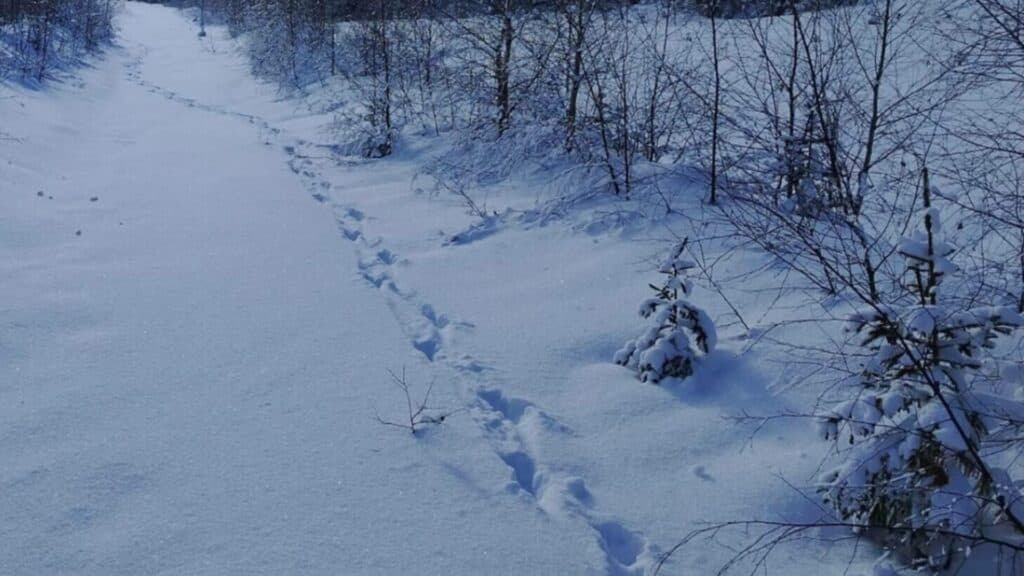 Atenție, turiști! Salvamont Suceava dezvăluie traseele montane periculoase de evitat