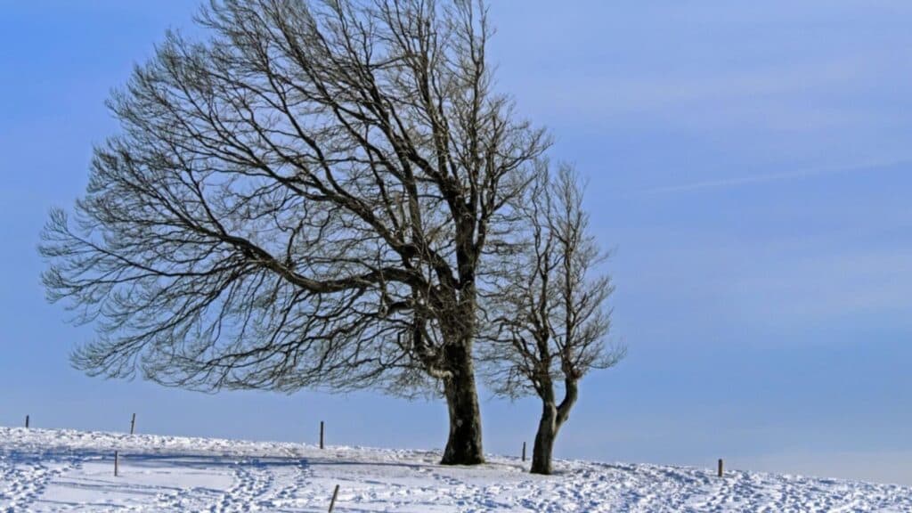 Atenție la schimbările meteorologice! Ninsori abundente și vânt intens până sâmbătă: prognoza ANM actualizată