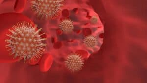 Virusul Nipah provoacă o nouă panică sanitară în Asia: India raportează cazuri recente, iar mai multe țări implementează măsuri de siguranță în aeroporturi