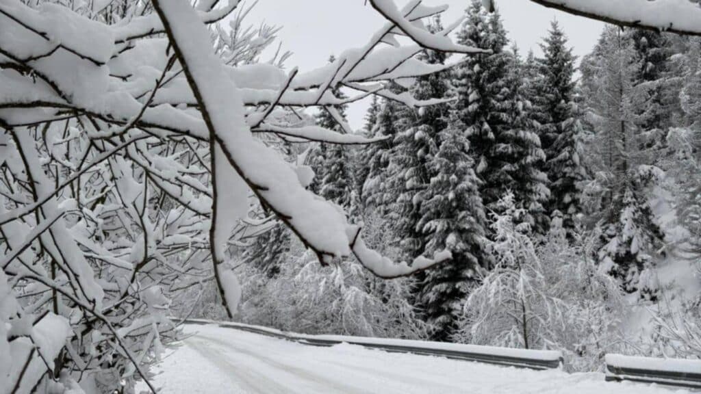 Fenomene meteorologice severe în țară: Ninsoarea continuă să afecteze diverse regiuni. Ce prognoze avem pentru următoarele ore, conform ANM?