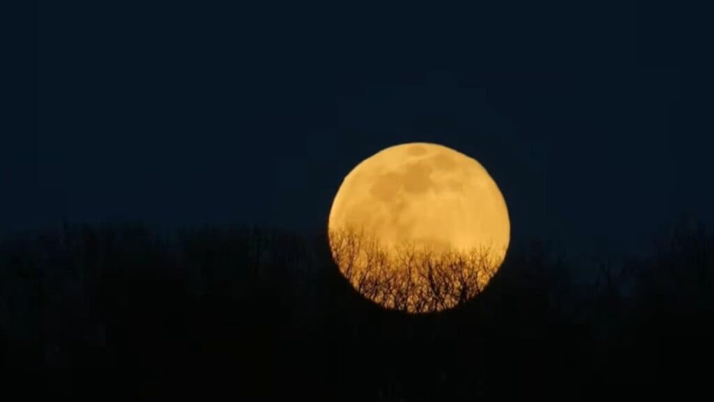 Zodiile care își transformă radical soarta după Luna Plină din 3 ianuarie 2026