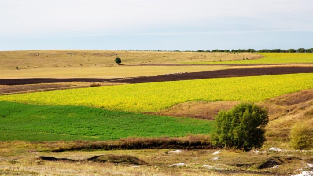 Locația din România unde prețul unui hectar de teren a sărit la 280.000 de euro. Cum se prezintă piața terenurilor agricole în 2026?