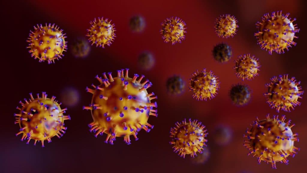 Avertizare medicală: Un virus letal, cu o rată de mortalitate de până la 75%, a fost depistat la o femeie din Bangladesh