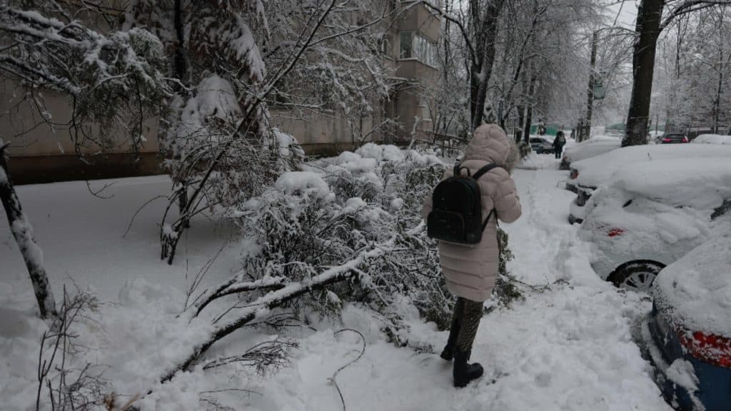 Raportul MAI: Impactul celor două zile de furtună de zăpadă – stâlpi doborâți, copaci căzuți și sute de mașini afectate