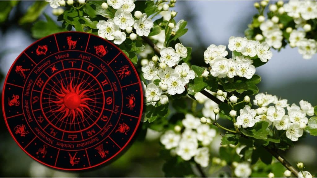 Zodiile norocoase din martie: cum își recâștigă echilibrul în viață