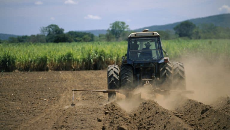 Cooperativele agricole din România studiază strategia germană de organizare și promovare