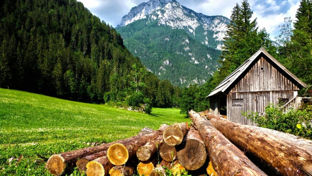 De ce merită să te bucuri de natura din jur: descoperă avantajele surprinzătoare pentru sănătatea ta