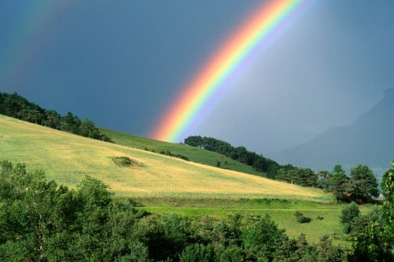 Fosta echipă Apple dezvăluie Acme Weather, o inovație în prognoza meteo