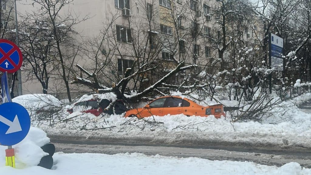 Haos urban: arbori căzuți pe automobile, autobuze împotmolite în ninsoare și un trafic complet blocat