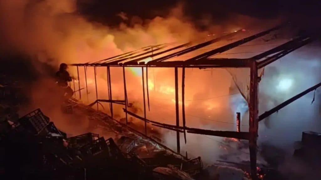 Flăcările devorează o seră de flori în județul Suceava