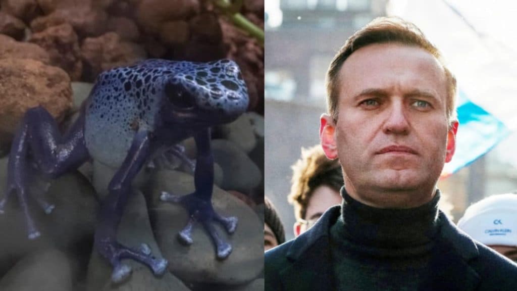 Kremlinul neagă vehement că Aleksei Navalnîi ar fi fost victima unei otrăviri cu o substanță rară