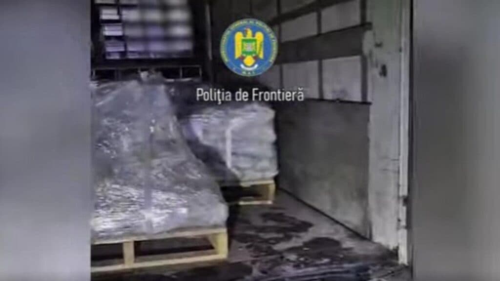 Imigranți descoperiți într-un camion turcesc, interceptat pe DN5 în urma unei acțiuni fulger