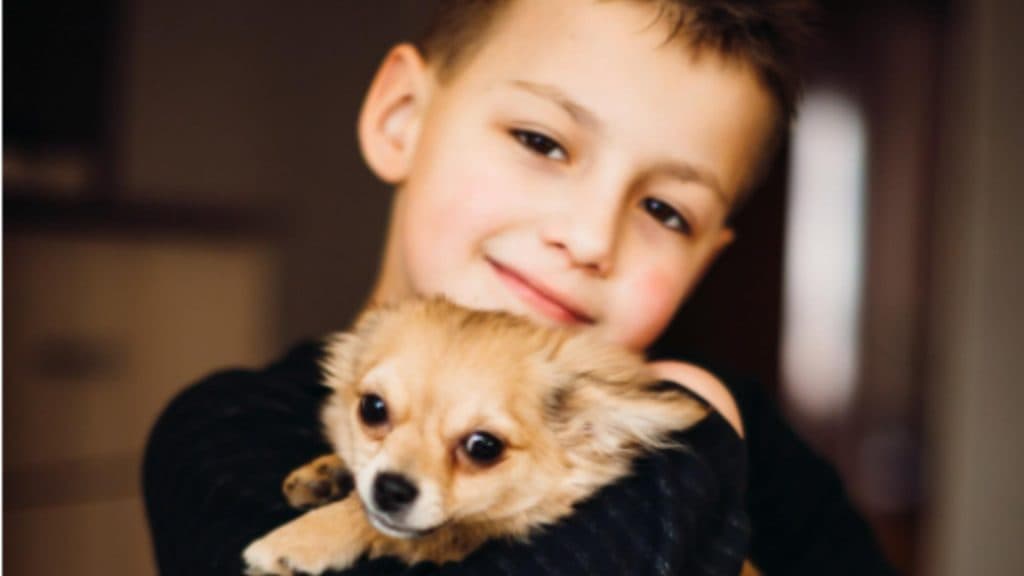 „Ora dedicată animalelor devine o disciplină opțională la nivel național, unde elevii vor descoperi empatia, grija și responsabilitatea față de prietenii necuvântători.”