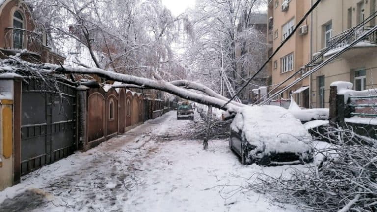Peste 180 de solicitări de despăgubire după ninsorile din februarie. Numeroase locuințe și aproape 100 de automobile au suferit daune