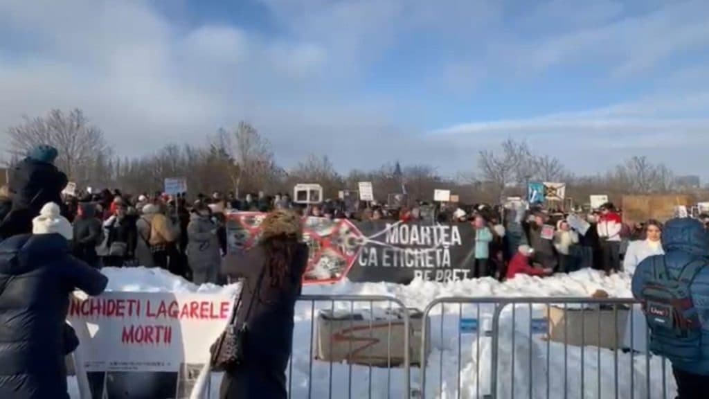 Peste 700 de oameni se adună în fața Parlamentului pentru a protesta împotriva eutanasierii în masă a animalelor