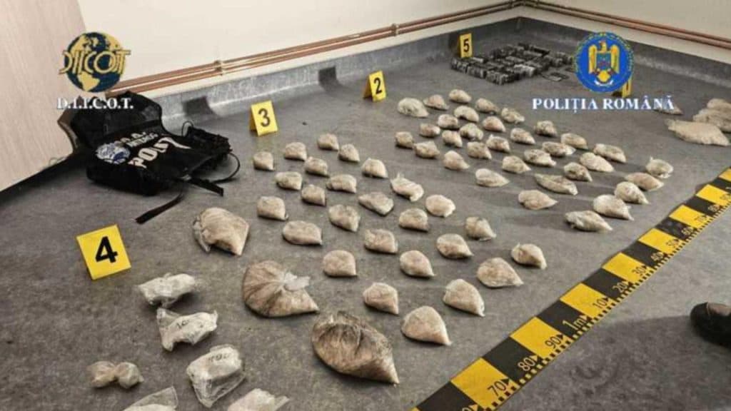Capturarea unei rețele periculoase de trafic de droguri în Argeș: peste 10 kilograme de substanțe interzise descoperite în pământ