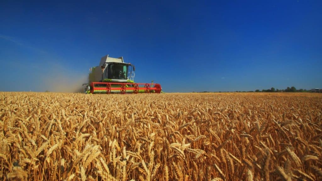 România își recâștigă titlul de grânar al Europei: Ministrul Agriculturii anunță 2,7 milioane de hectare irigate până în 2027 și afirmă: „Nimeni nu ne va depăși.”
