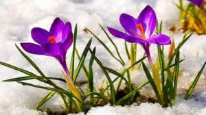 Soare strălucitor și căldură în intensificare în sudul și estul țării: prognoza meteo până la mijlocul săptămânii