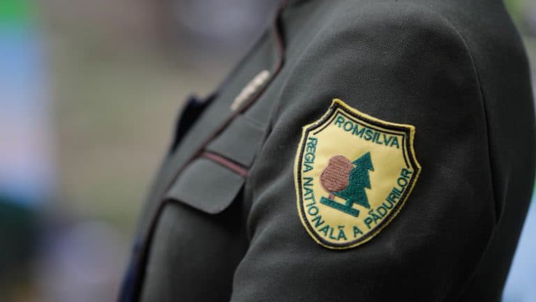 Guvernul a decis o reformă majoră la Romsilva: reducerea considerabilă a direcțiilor silvice și introducerea criteriilor de performanță pentru conducători
