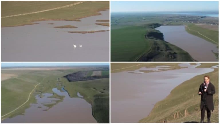 Lacul din Olt, odată secat, revine la viață după ploile și ninsorile recente, iar păsările își fac apariția din nou