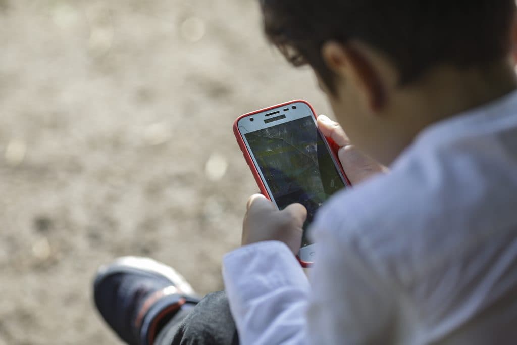 Emiratele Arabe Unite impun o vârstă minimă pentru rețele sociale