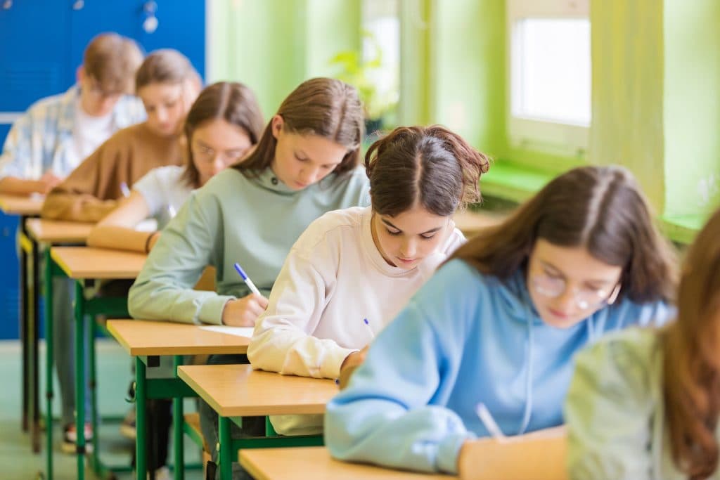 Ministerul educației a publicat subiectele Evaluării Naționale 2026