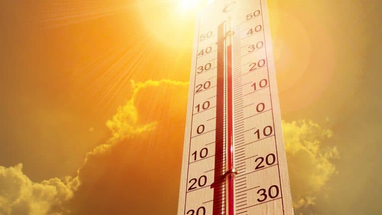 Peste 100 de milioane de americani sub alerte de temperaturi extreme