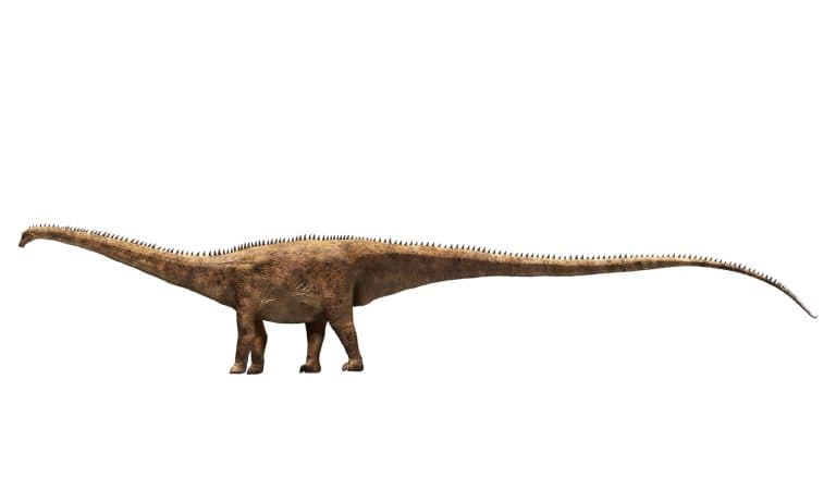 Cercetătorii au descoperit o nouă specie de dinozaur uriaș