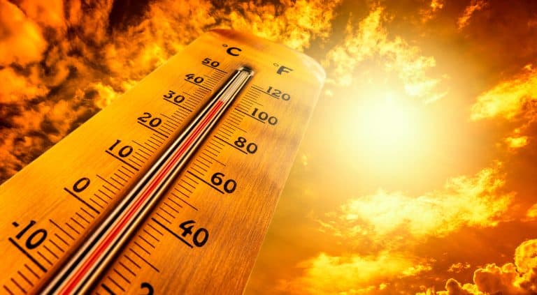 Canicula a provocat aproape 1.000 de decese în Ţările de Jos