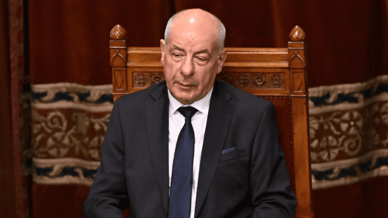 Premierul ungar Peter Magyar cere demisia președintelui Sulyok