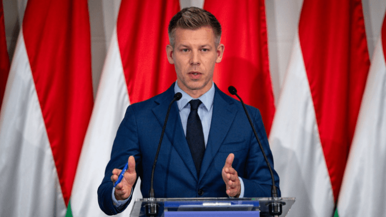 Premierul Ungariei susține reducerea vârstei de vot la 16 ani