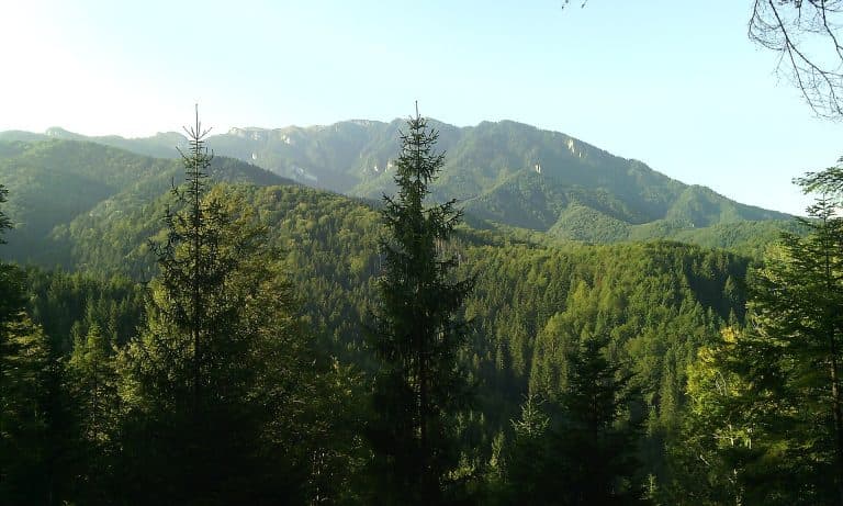 România, auditată de Curtea Europeană de Conturi pentru rețeaua Natura 2000