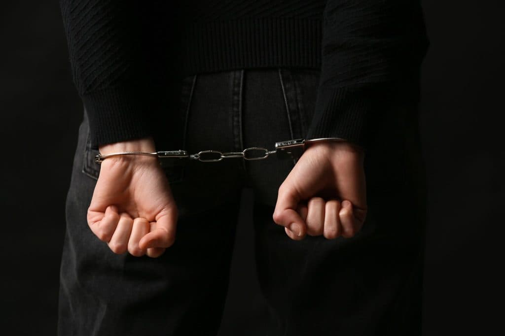Arestarea a 18 membri ai unei rețele internaționale neonaziste în Bulgaria