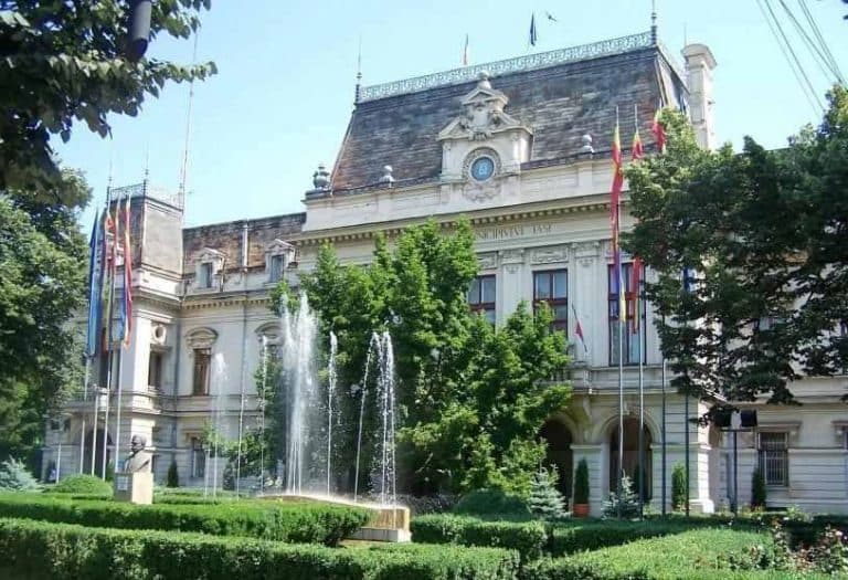 Teii din Iași se usucă din cauza condițiilor de mediu