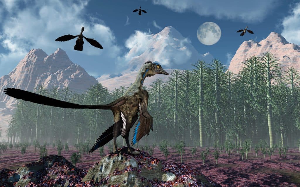 Cercetătorii descoperă cum Archaeopteryx a încercat să zboare