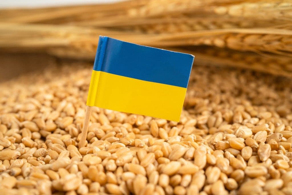 Agricultorii români cer control asupra cerealelor ucrainene în tranzit