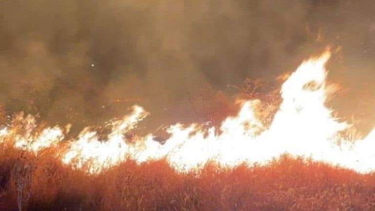 MAE atenţionează românii despre incendiile din Croaţia