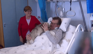 Spital din Portugalia oferă pacienților vizite lungi pentru a alina dorul de casă