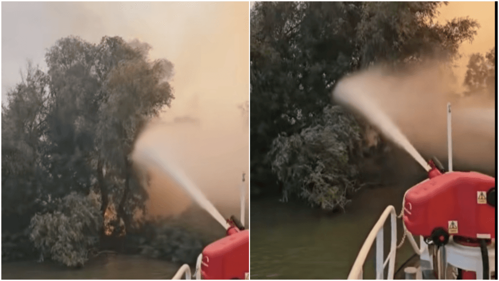 Intervenția pompierilor în Delta Dunării a fost suspendată din cauza incendiului