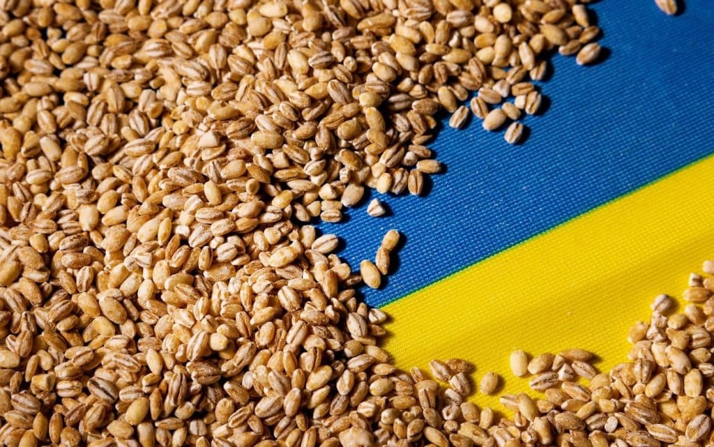 Kievul cere Chișinăului reducerea tarifelor pentru cereale