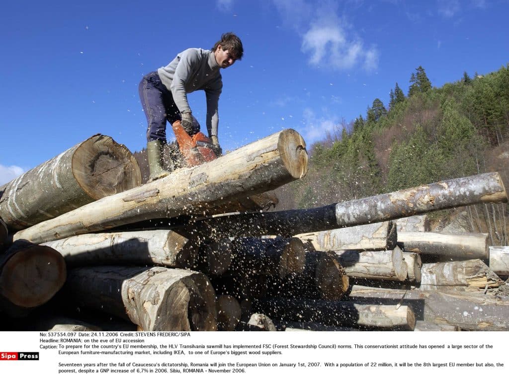 Volumul de lemn exploatat a crescut cu 7,5% în 2025, conform INS