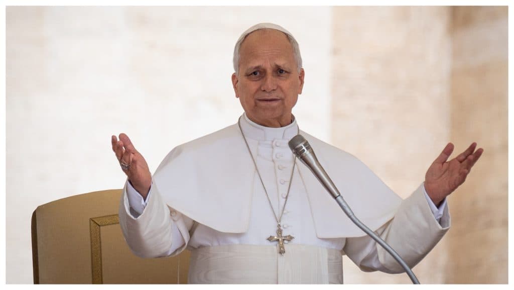 Papa Leon al XIV-lea îndeamnă la protejarea mediului înconjurător