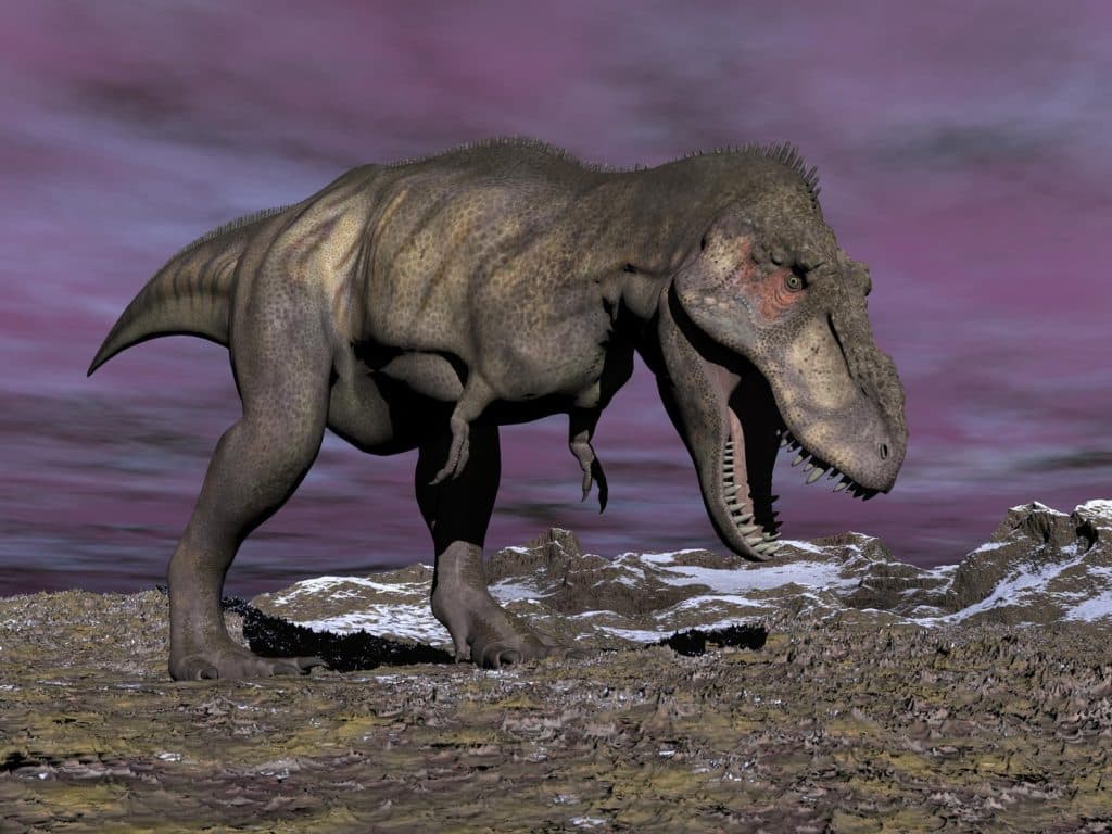 Tyrannosaurus rex, dinozaur cu sânge cald: descoperire revoluționară