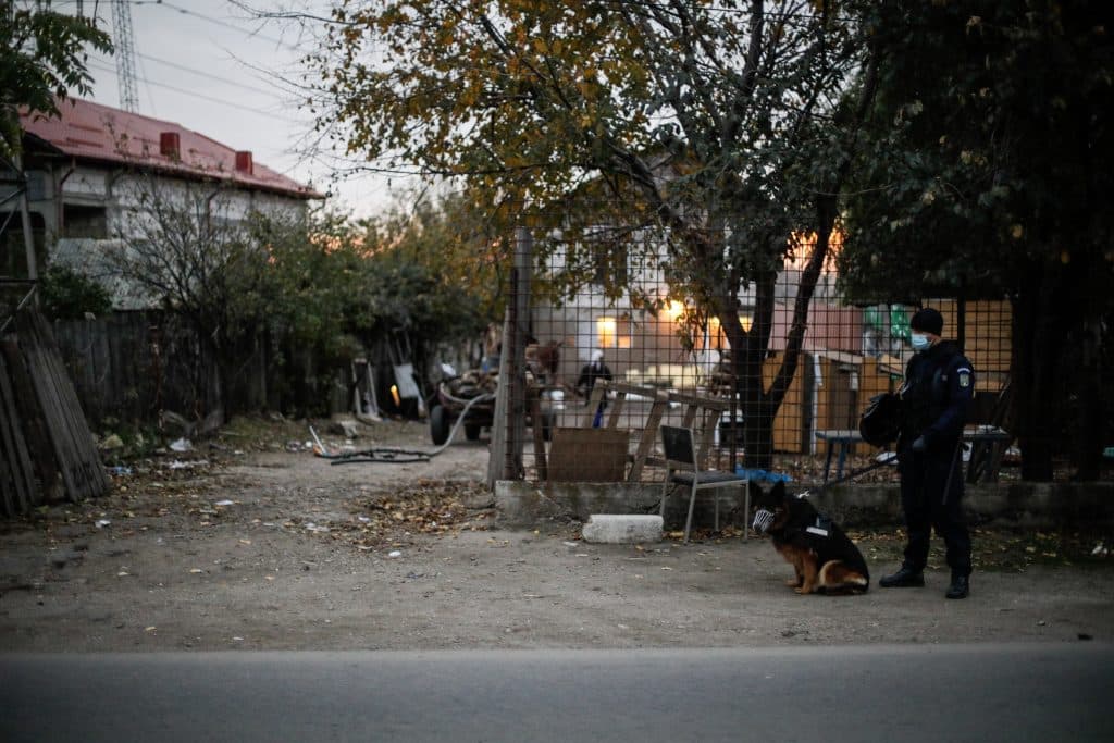 Măsuri dispuse în cazul arderilor ilegale de deşeuri în Sinteşti